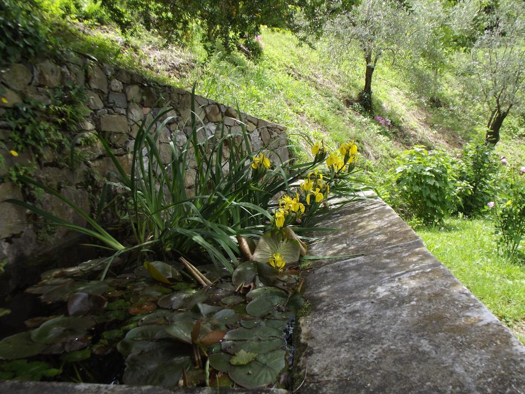 Agriturismo Brasino Fosdinovo Szoba fotó